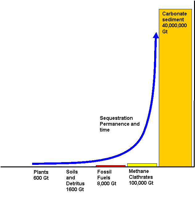 Permance of Carbon Sinks